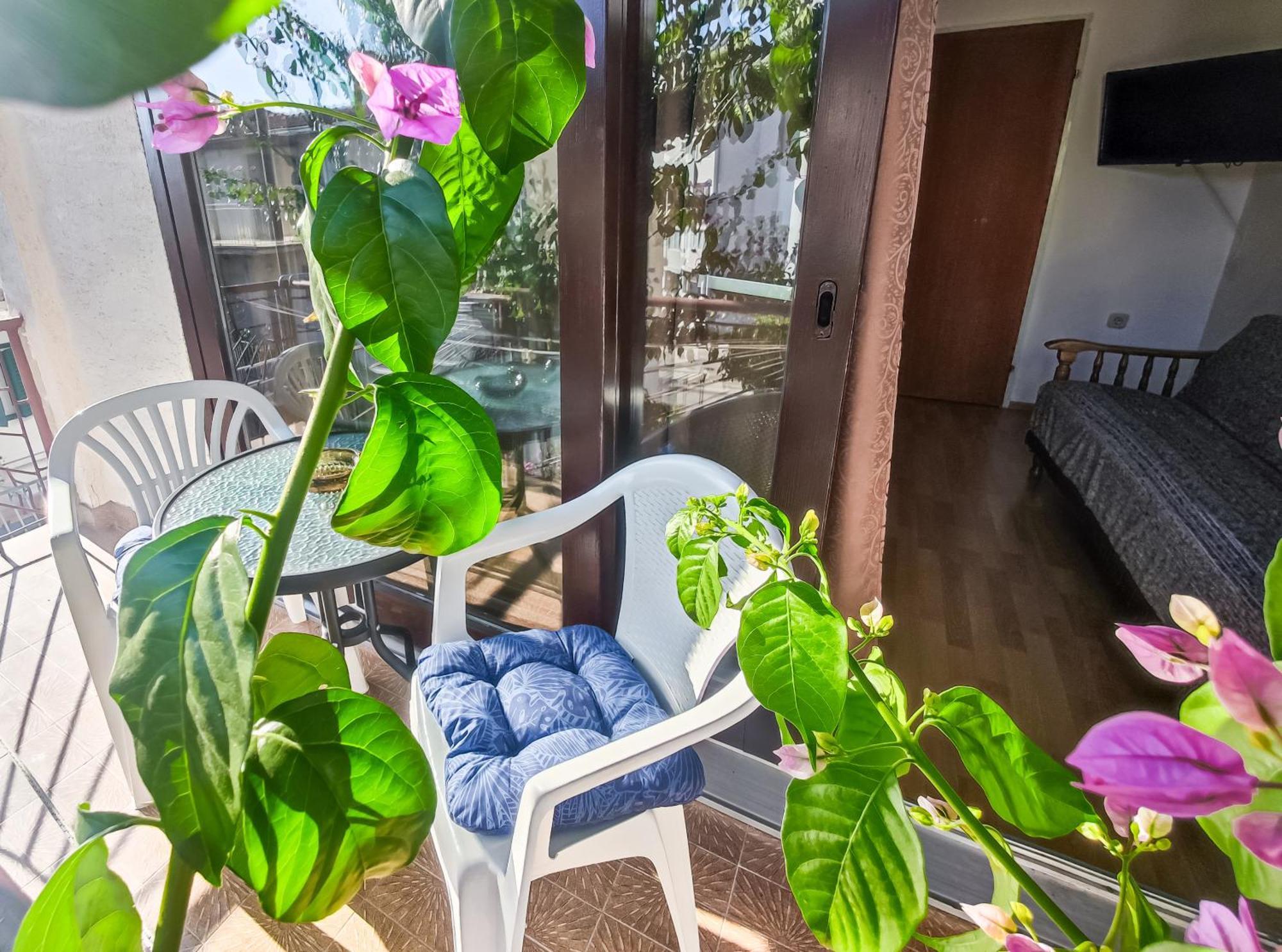 Apartman Biljana マカルスカ エクステリア 写真