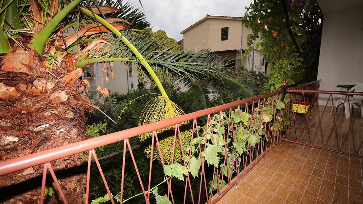 Apartman Biljana マカルスカ エクステリア 写真